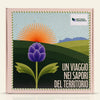 Scrigno - 5 prodotti